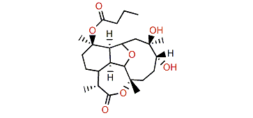 Briarellin O